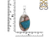 Spiny Oyster Turquoise Pendant-SP TRO-1-151