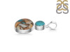Spiny Oyster Turquoise & Turquoise Pendant-2SP TRO-1-219
