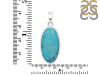Turquoise Pendant-SP TRQ-1-164