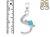 Turquoise & White Topaz Alphabet S Pendant TRQ-RDA-19.