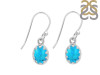 Turquoise Earring TRQ-RDE-1007.