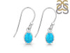 Turquoise Earring TRQ-RDE-1009.
