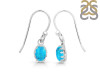 Turquoise Earring TRQ-RDE-1009.