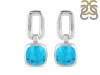 Turquoise Earring TRQ-RDE-101.
