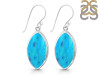 Turquoise Earring TRQ-RDE-1019.