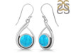 Turquoise Earring TRQ-RDE-103.