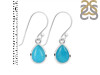 Turquoise Earring TRQ-RDE-1053.