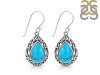 Turquoise Earring TRQ-RDE-110.