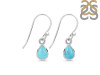 Turquoise Earring TRQ-RDE-1109.