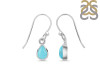 Turquoise Earring TRQ-RDE-1109.