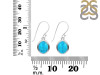 Turquoise Earring TRQ-RDE-1116.