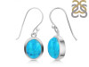 Turquoise Earring TRQ-RDE-1116.
