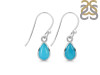 Turquoise Earring TRQ-RDE-1117.
