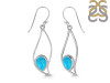 Turquoise Earring TRQ-RDE-113.