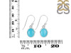 Turquoise Earring TRQ-RDE-1131.