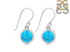 Turquoise Earring TRQ-RDE-1133.