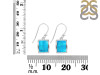 Turquoise Earring TRQ-RDE-1136.