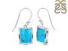 Turquoise Earring TRQ-RDE-1136.