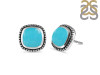 Turquoise Stud Earring TRQ-RDE-115.