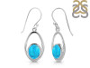 Turquoise Earring TRQ-RDE-116.
