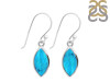 Turquoise Earring TRQ-RDE-1166.