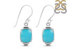 Turquoise Earring TRQ-RDE-118.