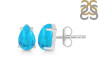 Turquoise Stud Earring TRQ-RDE-1207.