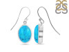 Turquoise Earring TRQ-RDE-1233.