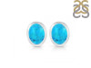 Turquoise Stud Earring TRQ-RDE-1256.