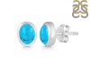 Turquoise Stud Earring TRQ-RDE-1256.