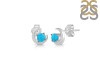 Turquoise Stud Earring  TRQ-RDE-1273.