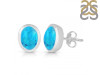 Turquoise Stud Earring TRQ-RDE-1377.
