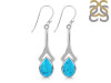 Turquoise Earring TRQ-RDE-153.