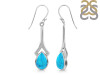 Turquoise Earring TRQ-RDE-153.