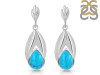 Turquoise Earring TRQ-RDE-157.