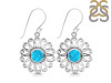 Turquoise Earring TRQ-RDE-184.