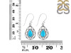 Turquoise Earring TRQ-RDE-196.