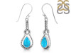 Turquoise Earring TRQ-RDE-197.
