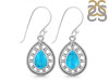 Turquoise Earring TRQ-RDE-198.
