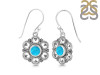 Turquoise Earring TRQ-RDE-204.