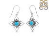 Turquoise Earring TRQ-RDE-206.