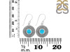 Turquoise Earring TRQ-RDE-215.