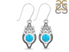 Turquoise Earring TRQ-RDE-218.