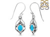 Turquoise Earring TRQ-RDE-222.