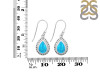 Turquoise Earring TRQ-RDE-227.