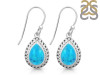 Turquoise Earring TRQ-RDE-227.