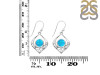 Turquoise Earring TRQ-RDE-228.