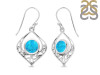 Turquoise Earring TRQ-RDE-228.