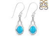 Turquoise Earring TRQ-RDE-234.