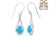 Turquoise Earring TRQ-RDE-234.